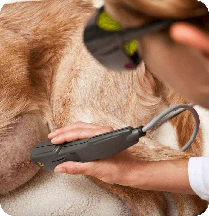 Cold Laser Therapy